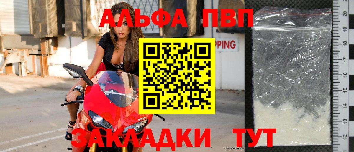 Альфа ПВП СК Чита